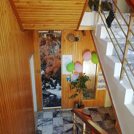 Erkal 2*